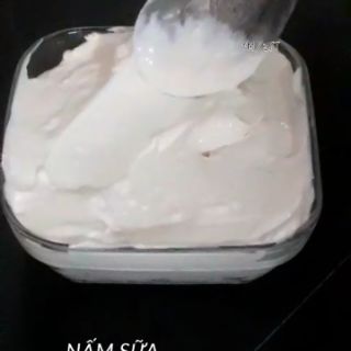 Nấm sữa chua kefir