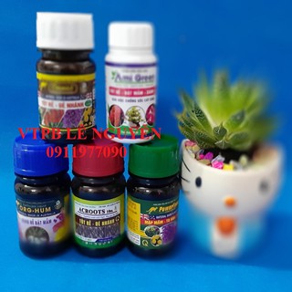 Combo thần thánh cho lan