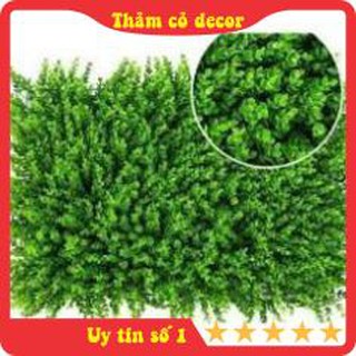 Cỏ Tai Chuột, thảm cỏ nhân tạo, nhựa giả size 60*40cm, decor, trang trí tường nhà, văn phòng, nhà hàng, sự kiện