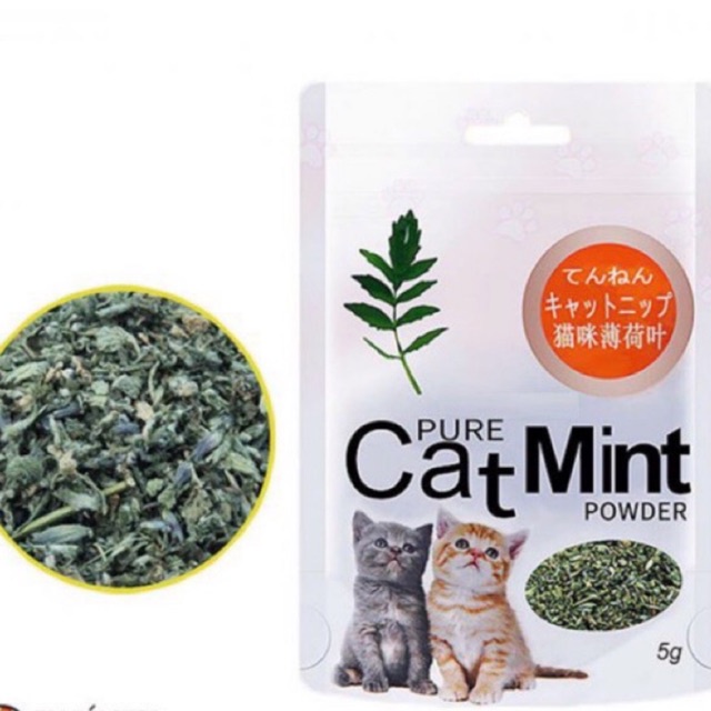 1 gói cỏ mèo Catmint dành cho mèo