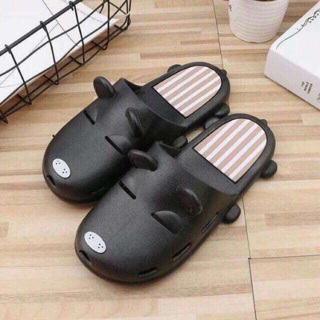 Combo 5 đôi sục chó