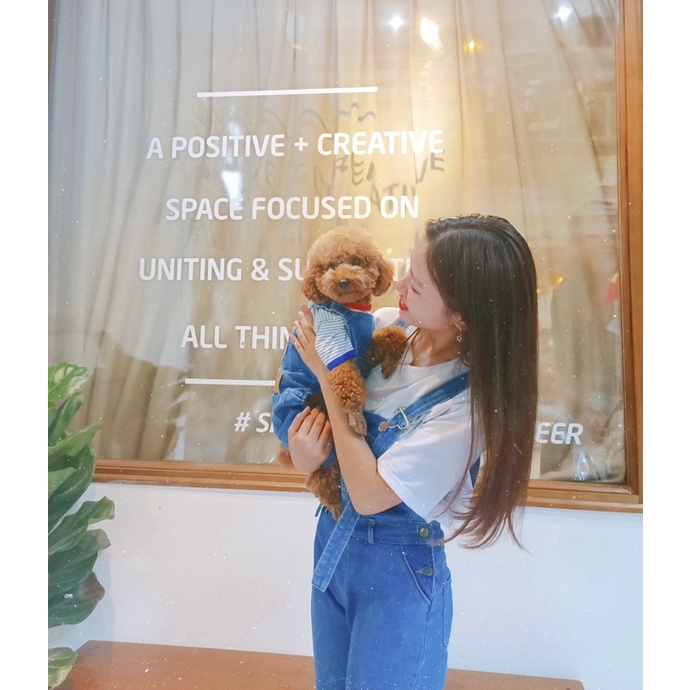 [Có sẵn] Yếm bò, yếm jeans cho thú cưng