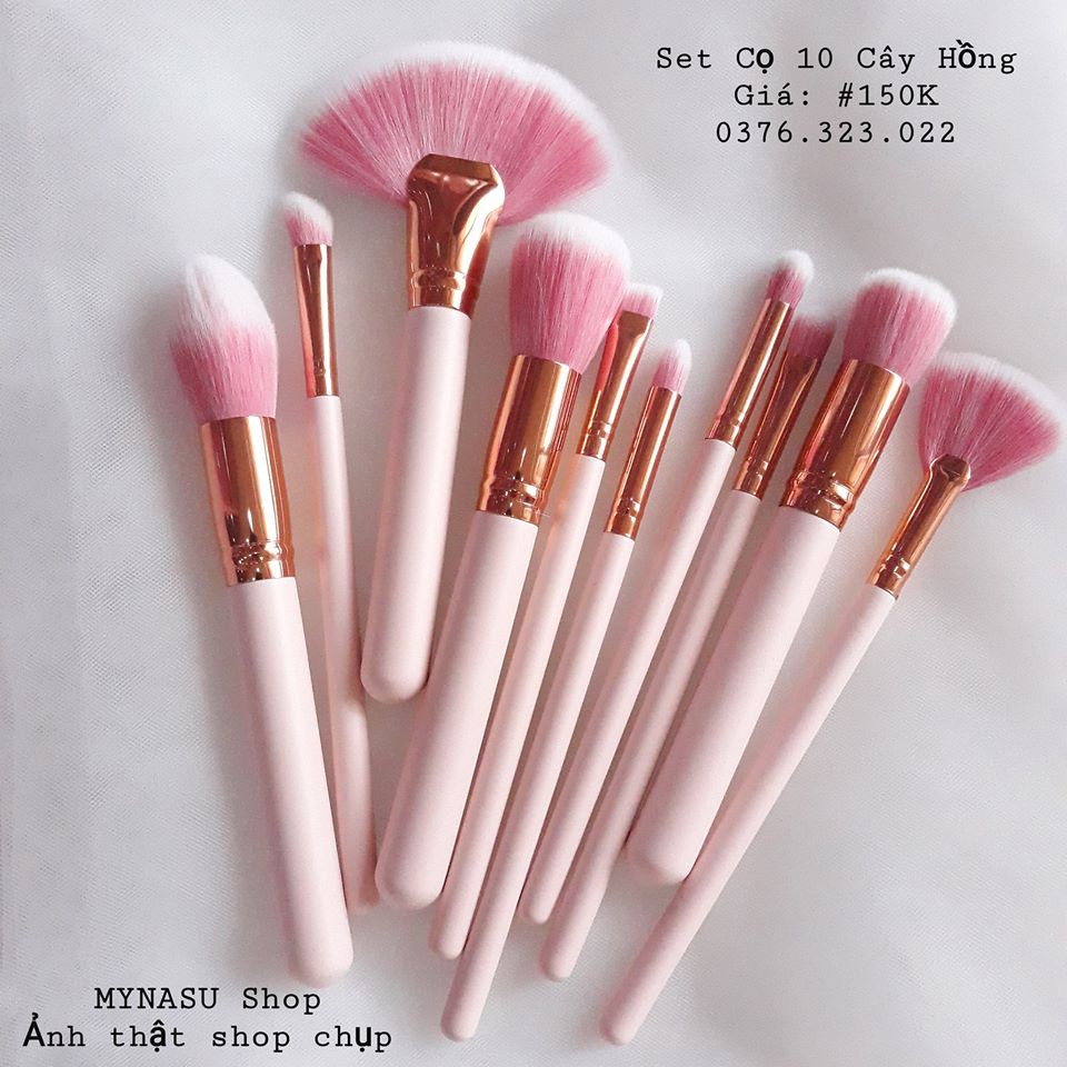 Set Cọ 10 Cây Hồng