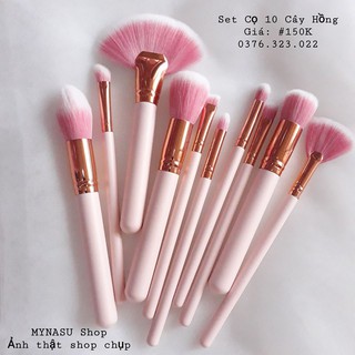 Set cọ 10 cây hồng