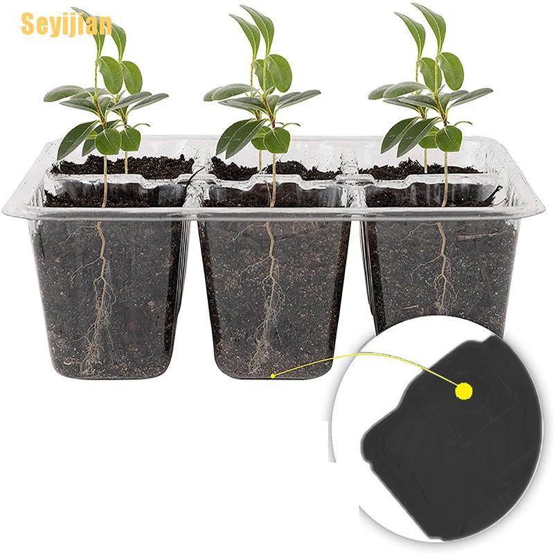 Set 10 Khay Đựng Hạt Giống (12 Ô)