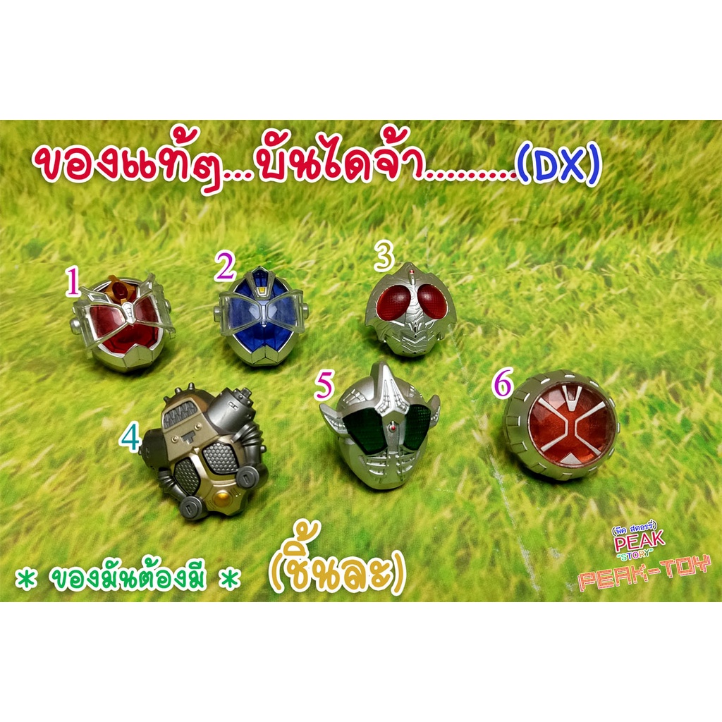(6) Dx Ring Transformation / RIDER Wizard
