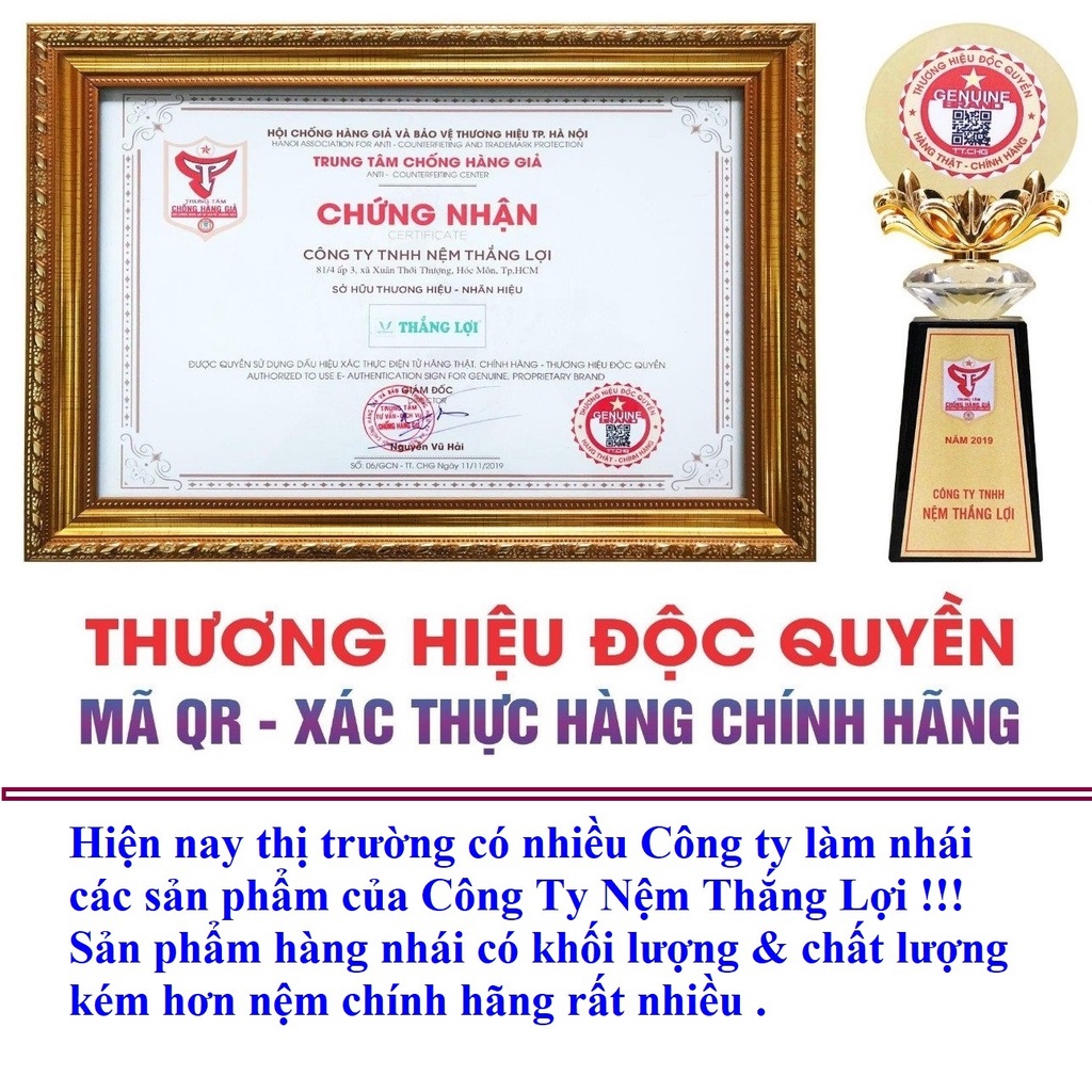 Nệm cao su non 15cm 20cm Thắng Lợi Gấp 2 Gấp 3