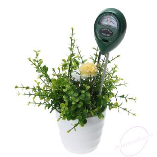 Dụng Cụ Đo Độ Ph Của Đất