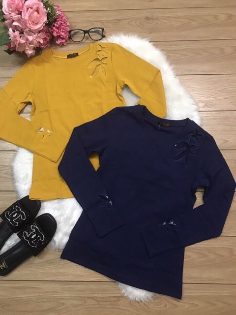 Áo thun cổ tròn tay dài đẹp y hình