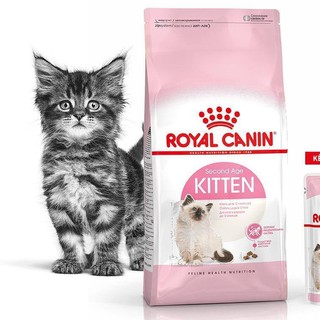 Hạt Royal Canin Kitten bao nguyên 10kg cho mèo
