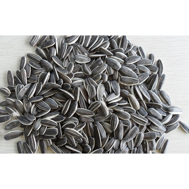 Túi 1 kg hạt hướng dương size trung