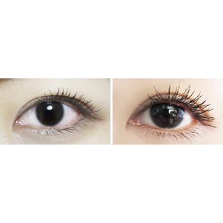 MASCARA 4D MISSHA -Làm Dày Mi