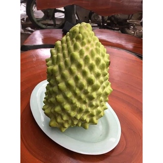 CÂY GIỐNG NA SẦU RIÊNG