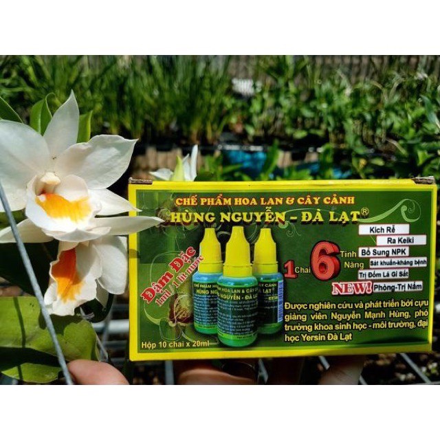 Chế phẩm Hùng Nguyễn kích rễ trị bệnh 6 trong 1 chuyên dùng cho lan