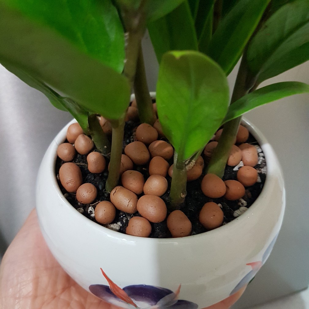 Gói 6 lít Viên đất nung hàng nhập khẩu Thái Lan