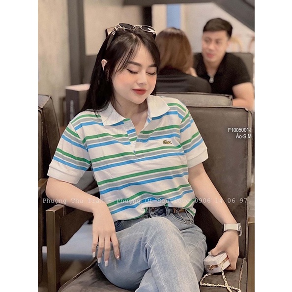 Áo thun cá sấu sọc màu