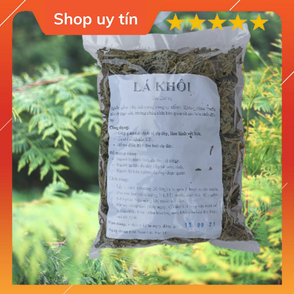 Lá khôi - thảo dược cho người đau dạ dày đau bao tử viêm loét dạ dày-tá tràng