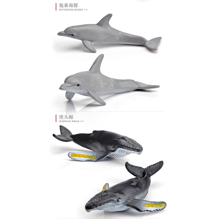 Set 12 Mô Hình Cá Mập Trắng Trang Trí