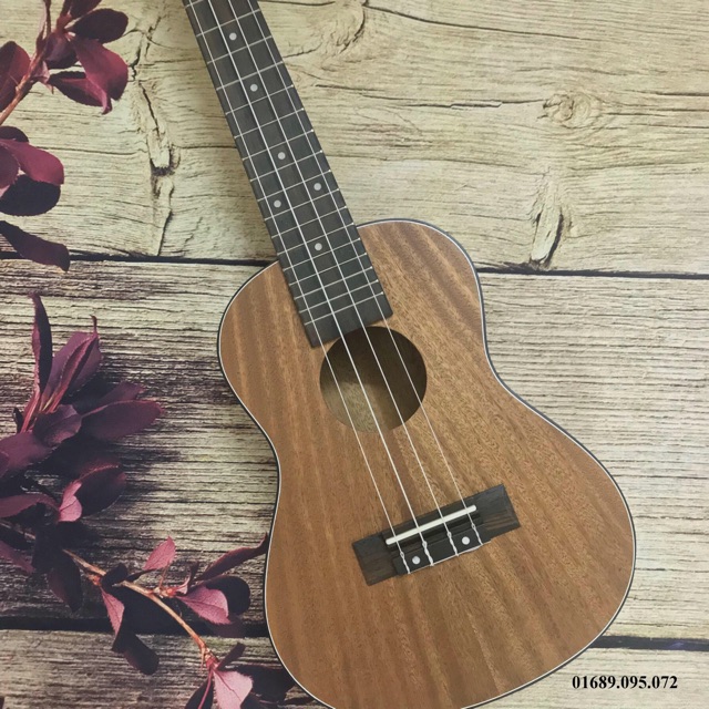 ĐÀN UKULELE CONCERT VIỀN ĐEN