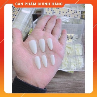 MÓNG ÚP HSM FORM BẦU NHÁM TRONG, ĐỤC 500 MÓNG