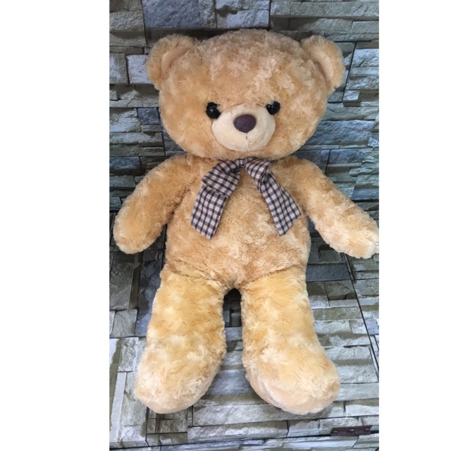 Teddy nơ ca rô 65cm