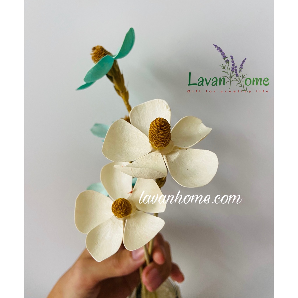 Hoa khô decor, hoa nhập khẩu cắm bình trang trí phòng khách, phòng ngủ, chụp ảnh sản phẩm, làm quà tặng, thiệp handmade