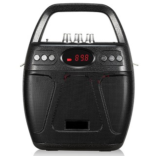 Loa kẹo kéo Bluetooth Echo PKCB-610