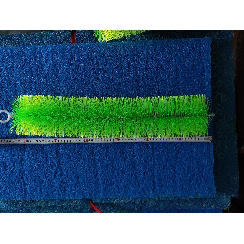 Chổi xanh lọc nước cho hồ cá Koi 60cm