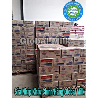 [COMBO 48 LON] SỮA GẤU NESTLE THÁI LAN
