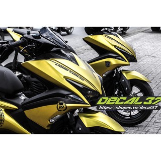 Tem Trùm NVX The Rock
