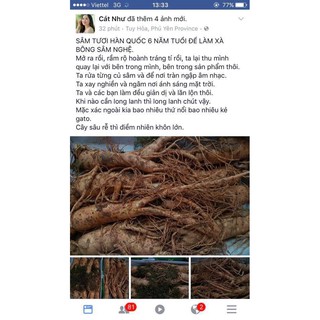Soap sâm nghệ suen