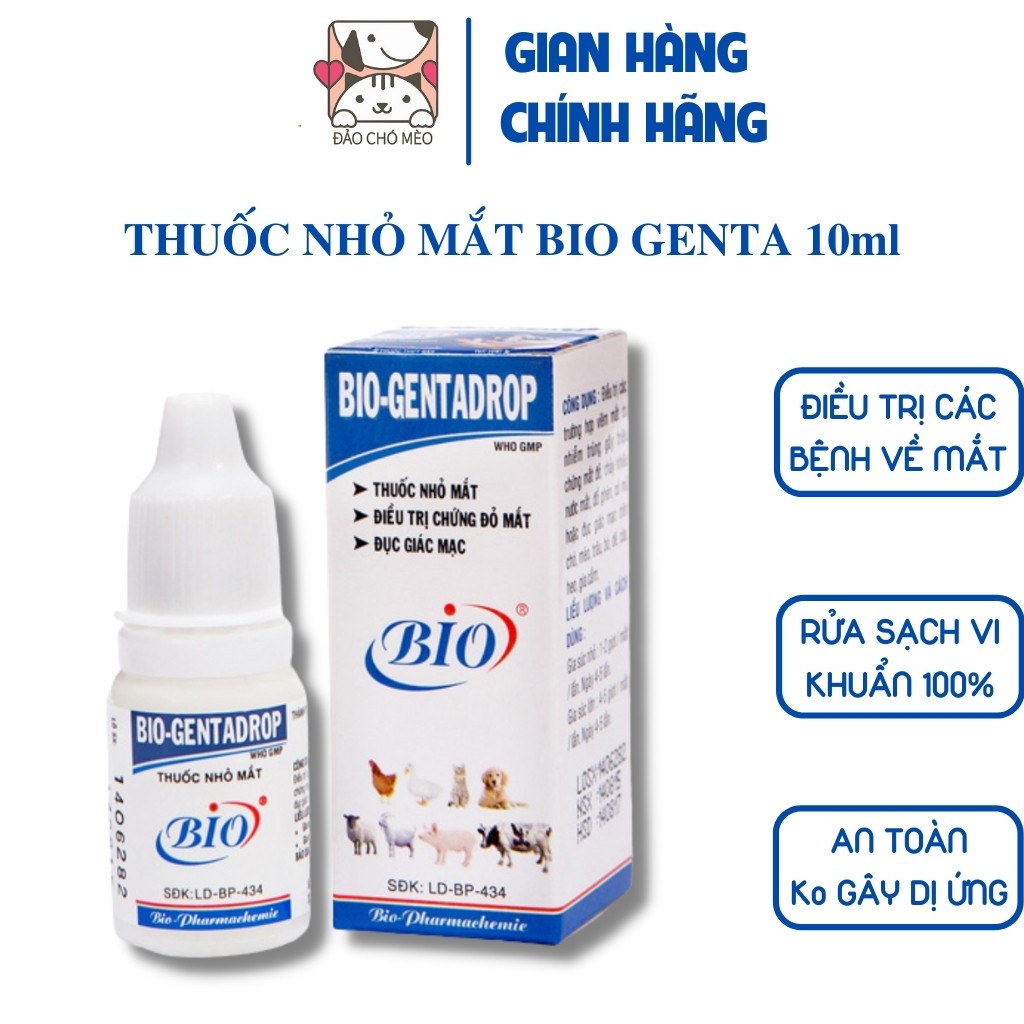 Nhỏ mắt chó mèo Bio Genta chữa đỏ mắt , ghèn mắt, mắt có ghèn đục giác mạc Bio Gentadrop 10ml - Đảo Chó Mèo