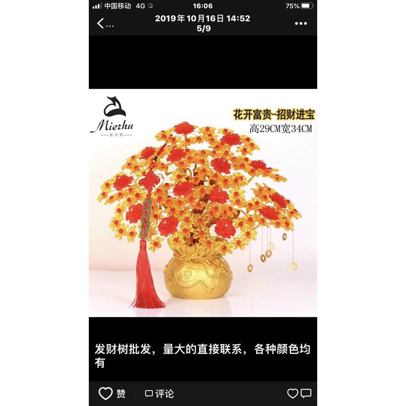 Cây kim tiền mạ vàng 7 cành phong thuỷ cho gia chủ tài lộc may mắn