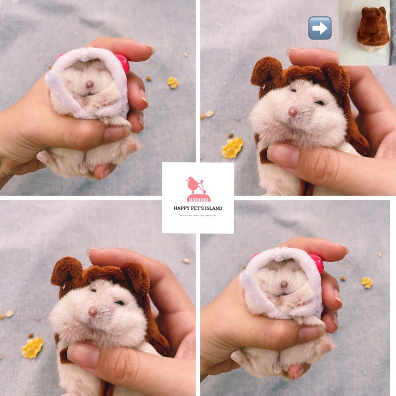 Áo choàng cho HAMSTER / SÓC 🐹🐿🦔