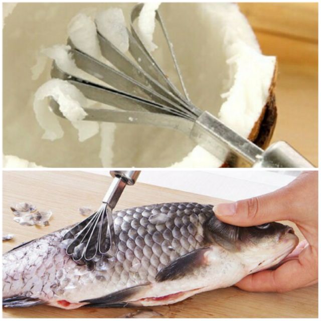 DỤNG CỤ ĐÁNH VẨY CÁ, NẠO DỪA