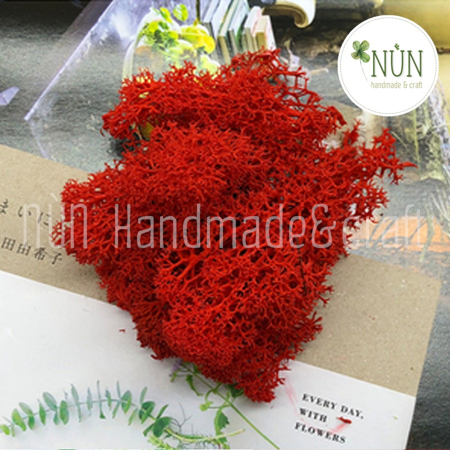 Rêu Các Màu Làm Trang Trí Handmade [MỚI]