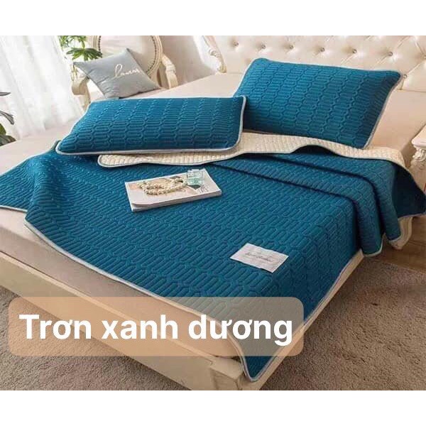 Chiếu điều hòa cao su non 5D Tencel,kích thước m6/m8/2m2, mẫu trơn xanh dương