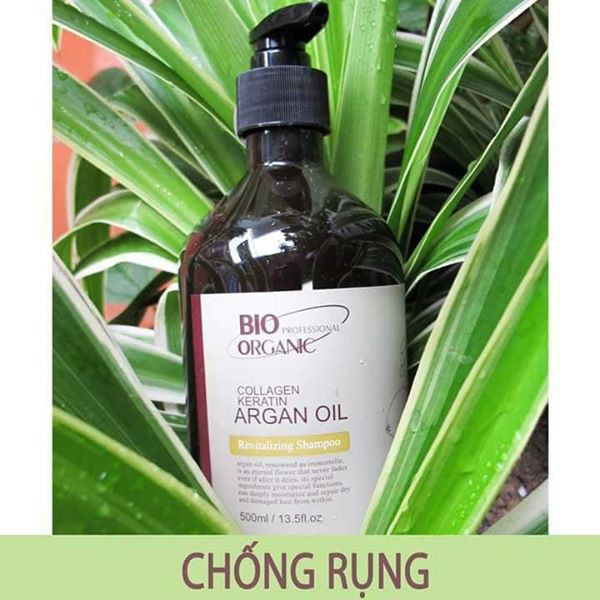 Cặp dầu gội xả dưỡng tóc Bio Organic 500ml