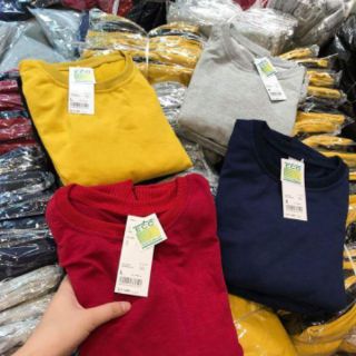 Combo sỉ áo và túi