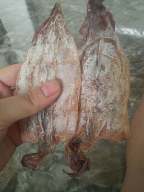 Free ship 45 con mực câu mini kèm ảnh thật | BigBuy360 - bigbuy360.vn