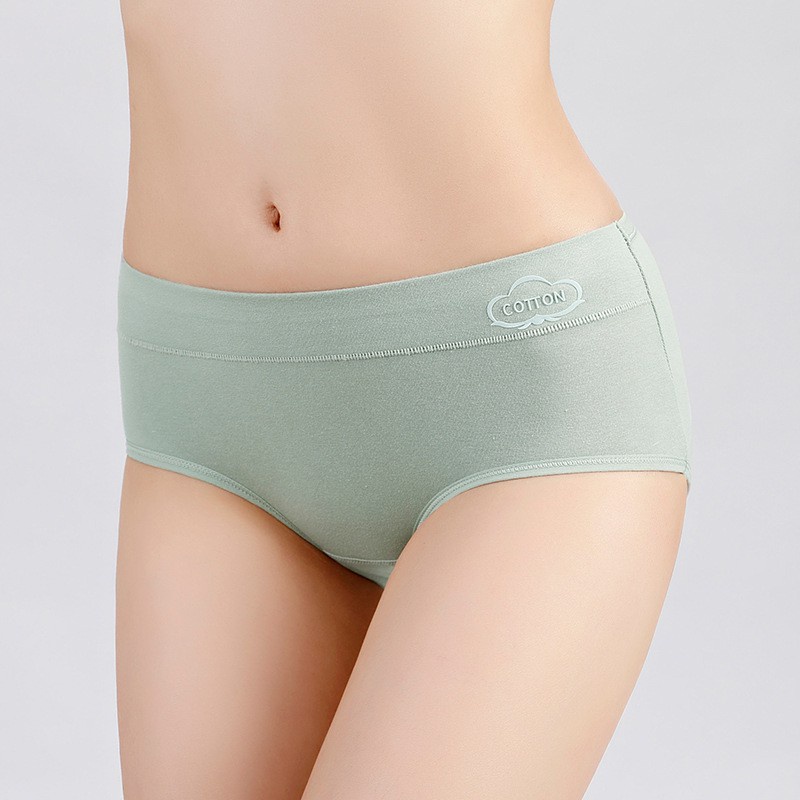 Quần Lót Cotton Kháng Khuẩn Màu Trơn Lưng Vừa Size M-2XL Thời Trang Cho Nữ