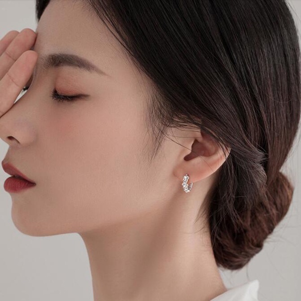 Đôi bông tai mạ bạc s925 hình tròn đính đá sang trọng