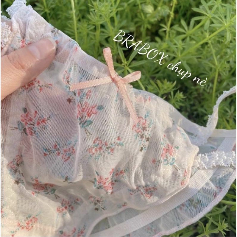 Quần lót ren cạp thấp hoa nhí  Spring Flower BRABOX - QC66