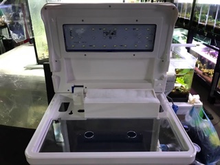 Bể cá để bàn kính liền