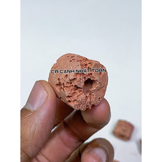 SỨ LỌC VIÊN SỨ VIÊN ĐỎ VẬT LIỆU LỌC CHO BỂ CÁ CẢNH