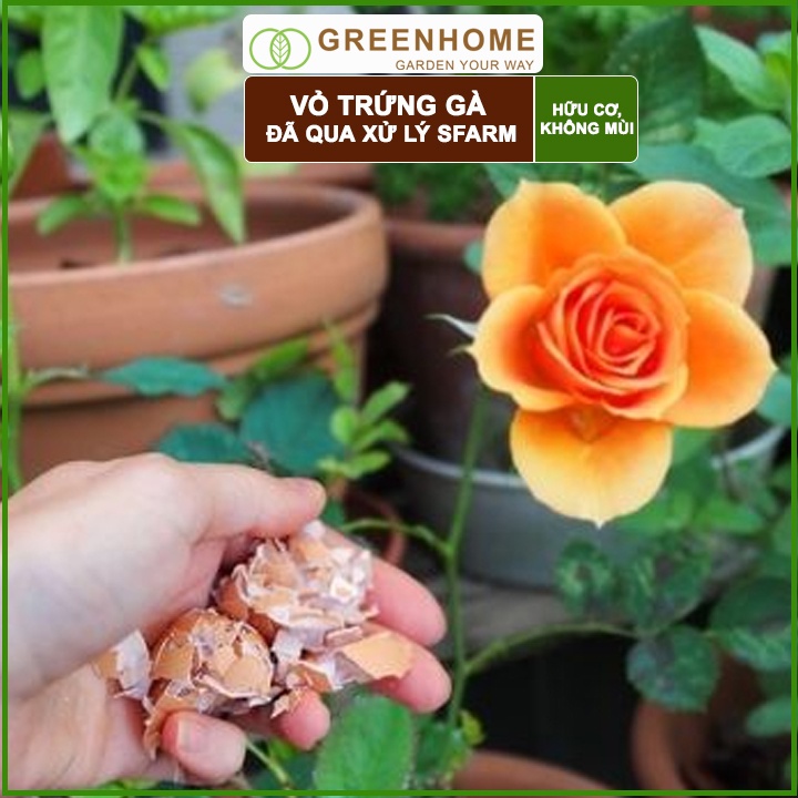 Bộ 2 Vỏ trứng gà Sfarm đã qua xử lý Bao 1kg. Giúp cây khoẻ, chống côn trùng, sâu bọ |Greenhome