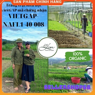 Bột Chùm Ngây Sấy Lạnh-bột ăn dặm Cho Bé , Bổ Não , Sáng Mắt , Bổ Sung Canxi