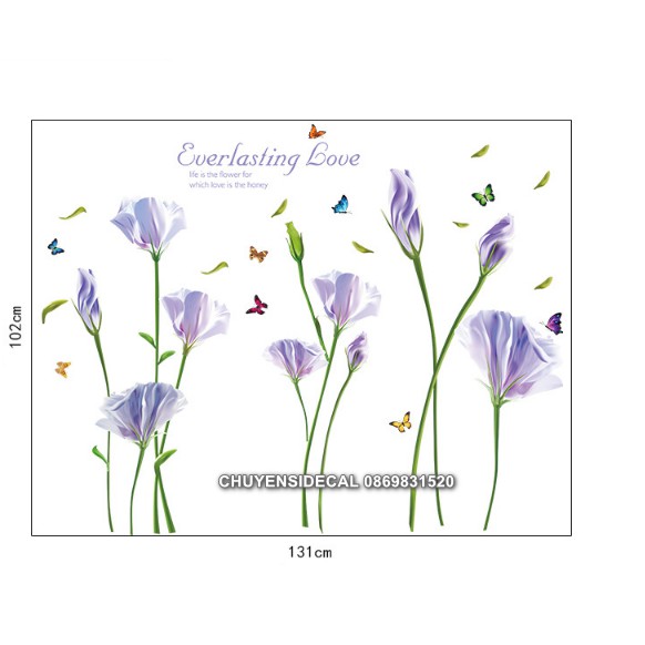 Decal trang trí tường - Hoa Tím 5 cánh mỏng