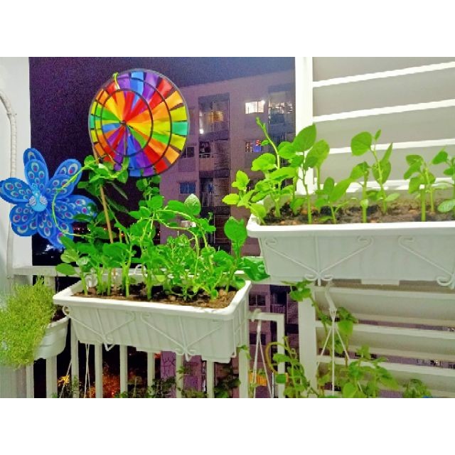 Khung treo ban công + chậu, trồng hoa, trồng rau 63cm, 45cm