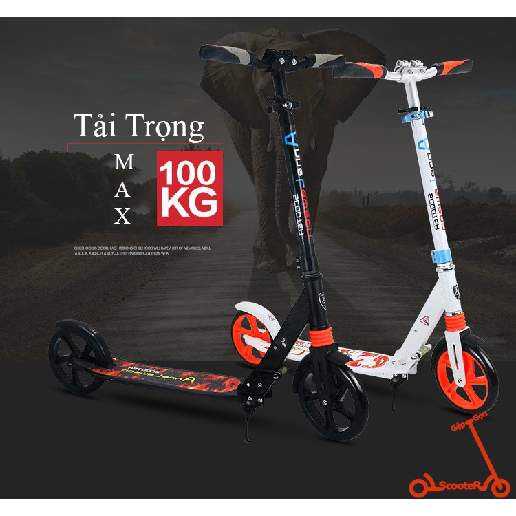 Xe trượt scooter thể thao người lớn Adults Scooter Anne Lawson Y5